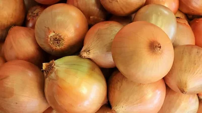 تصویر 3 از پیاز تند با عطر و تندی مشخص برای طعم‌ دهی قوی